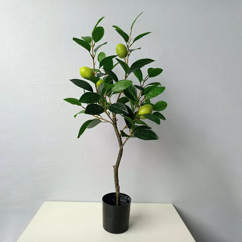 Tanduran lemon gawean