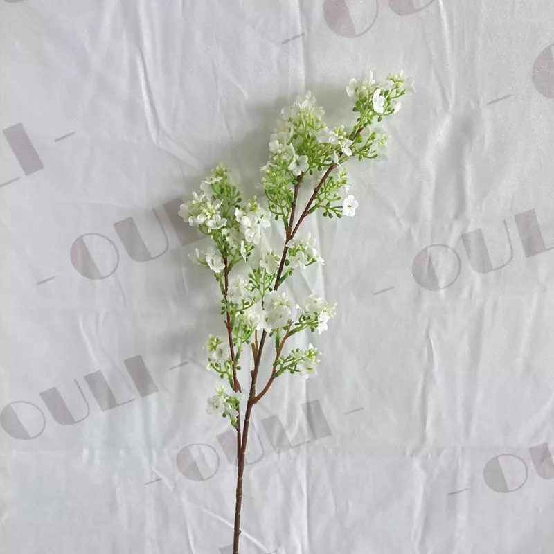 Bouquet Floral Gypoophila Salah