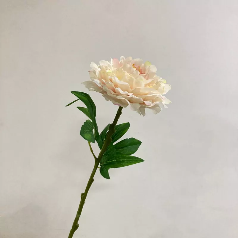Kembang Peony Puisi Gedhe