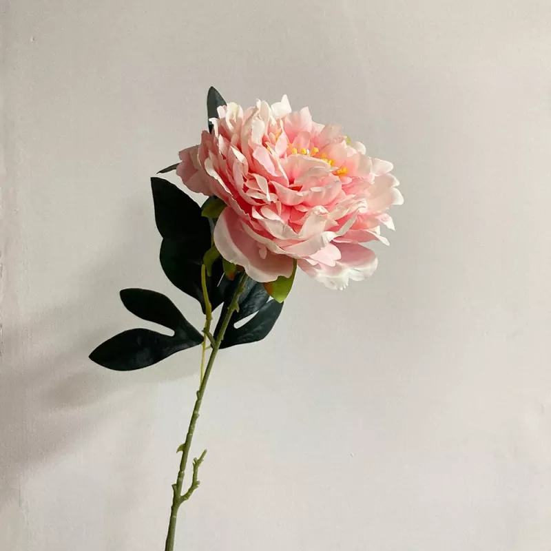Peony palsu sing dawa bates