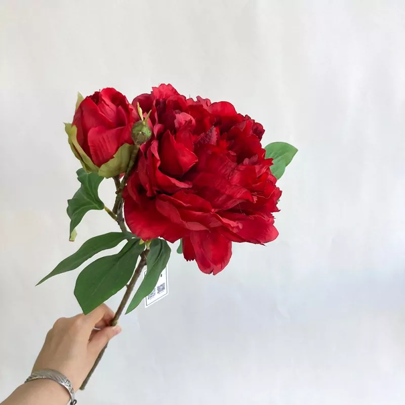 Kembang Peony Suto Sutra
