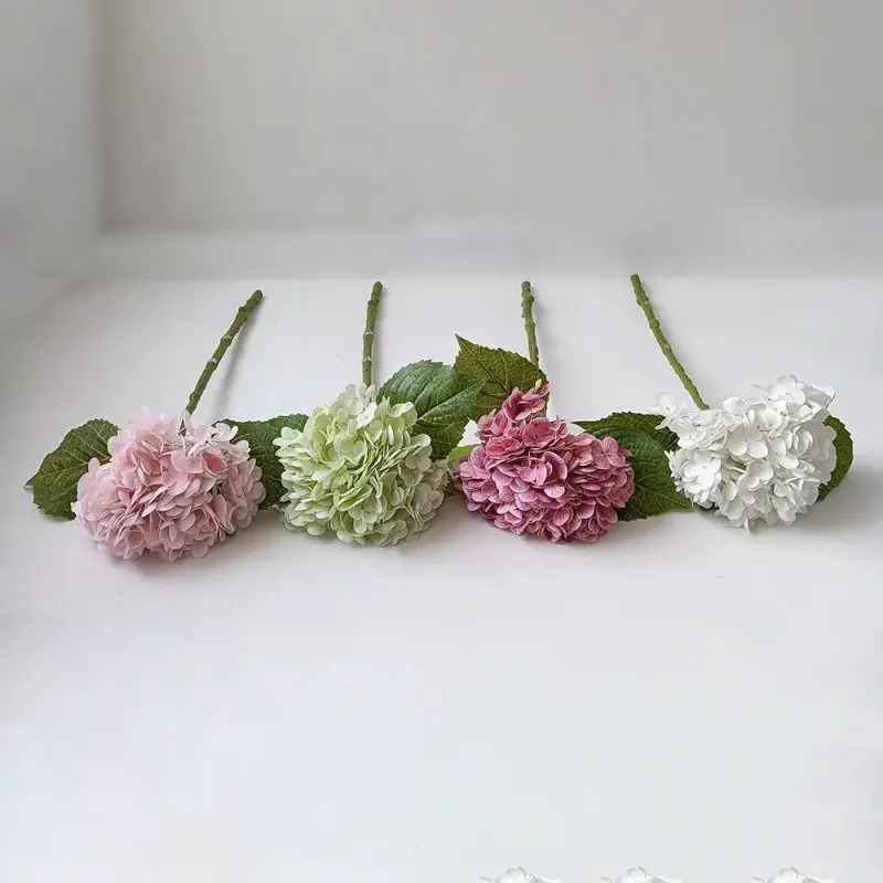 Hydrangeas Tunggal Tunggal Stem