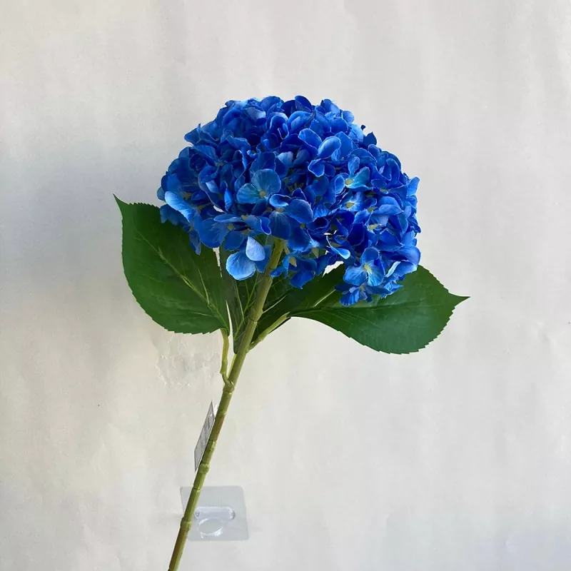 Tahan Hydrangea Tahan UV
