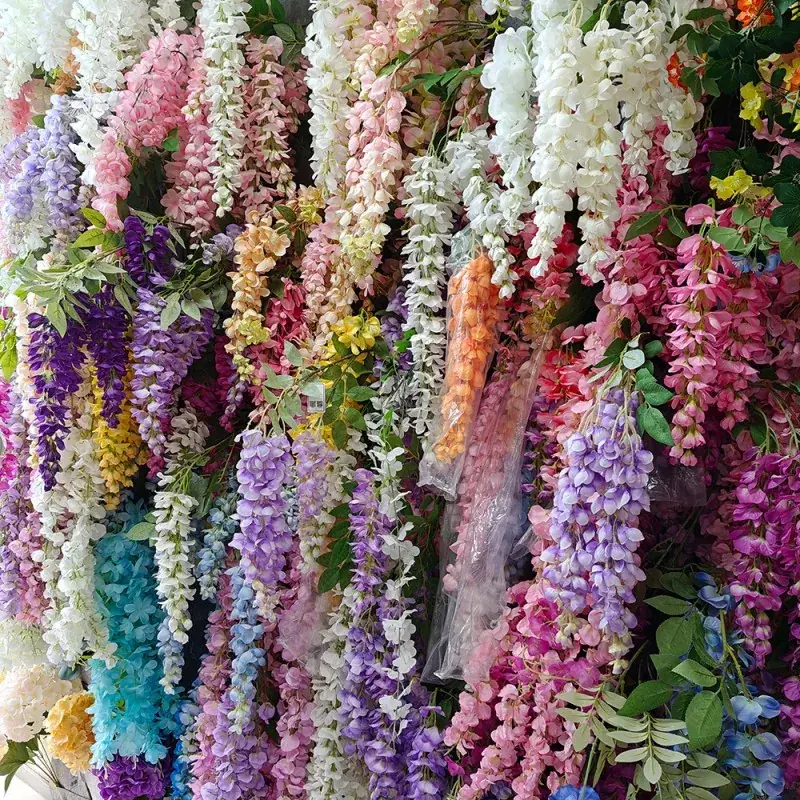 Kembang Ponggangkau Wisteria